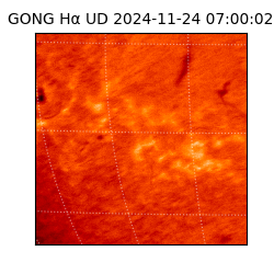 gong - 2024-11-24T07:00:02