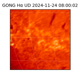 gong - 2024-11-24T08:00:02