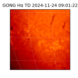 gong - 2024-11-24T09:01:22
