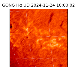 gong - 2024-11-24T10:00:02