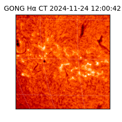 gong - 2024-11-24T12:00:42