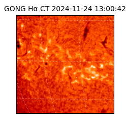 gong - 2024-11-24T13:00:42