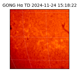 gong - 2024-11-24T15:18:22