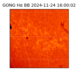 gong - 2024-11-24T16:00:02