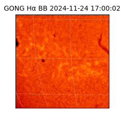 gong - 2024-11-24T17:00:02