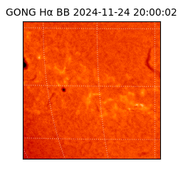 gong - 2024-11-24T20:00:02
