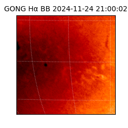 gong - 2024-11-24T21:00:02