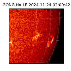 gong - 2024-11-24T02:00:42