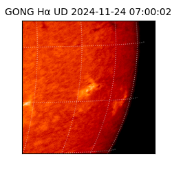 gong - 2024-11-24T07:00:02