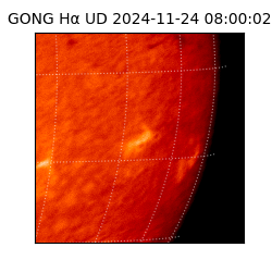gong - 2024-11-24T08:00:02