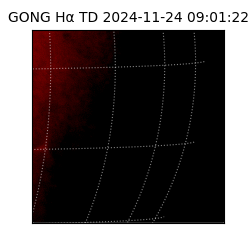 gong - 2024-11-24T09:01:22