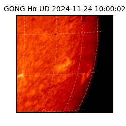 gong - 2024-11-24T10:00:02