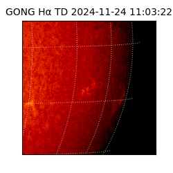 gong - 2024-11-24T11:03:22