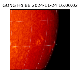 gong - 2024-11-24T16:00:02