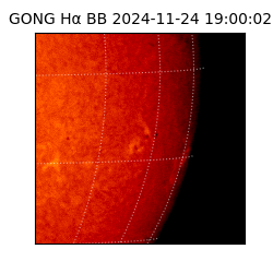 gong - 2024-11-24T19:00:02