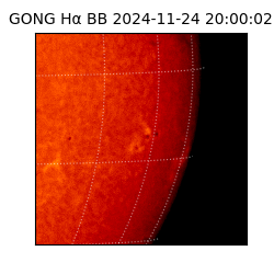 gong - 2024-11-24T20:00:02