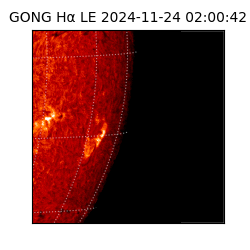 gong - 2024-11-24T02:00:42