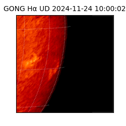 gong - 2024-11-24T10:00:02