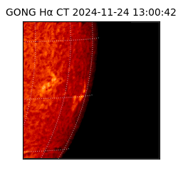 gong - 2024-11-24T13:00:42