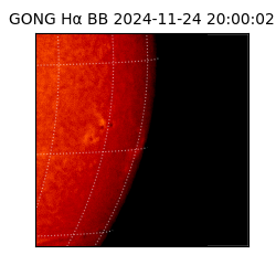 gong - 2024-11-24T20:00:02