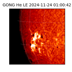 gong - 2024-11-24T01:00:42