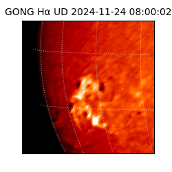 gong - 2024-11-24T08:00:02