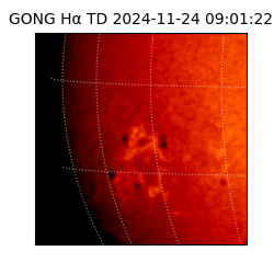 gong - 2024-11-24T09:01:22
