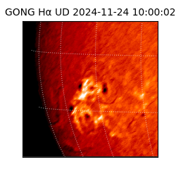 gong - 2024-11-24T10:00:02