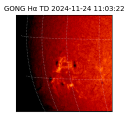 gong - 2024-11-24T11:03:22