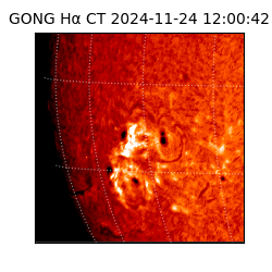 gong - 2024-11-24T12:00:42