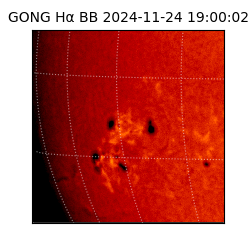 gong - 2024-11-24T19:00:02