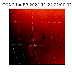 gong - 2024-11-24T21:00:02