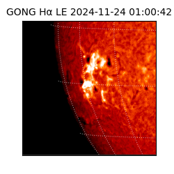 gong - 2024-11-24T01:00:42