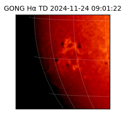 gong - 2024-11-24T09:01:22