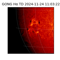 gong - 2024-11-24T11:03:22