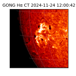 gong - 2024-11-24T12:00:42