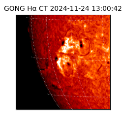 gong - 2024-11-24T13:00:42