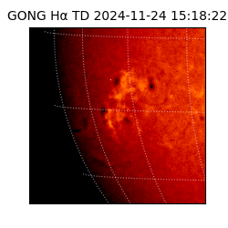 gong - 2024-11-24T15:18:22