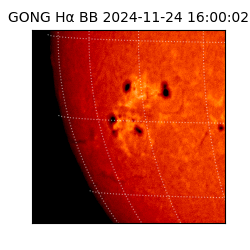 gong - 2024-11-24T16:00:02