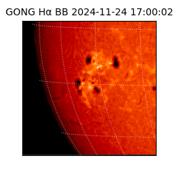 gong - 2024-11-24T17:00:02