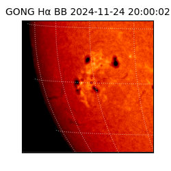 gong - 2024-11-24T20:00:02