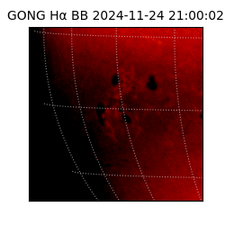 gong - 2024-11-24T21:00:02