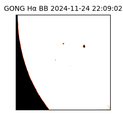gong - 2024-11-24T22:09:02