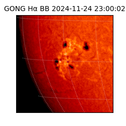 gong - 2024-11-24T23:00:02