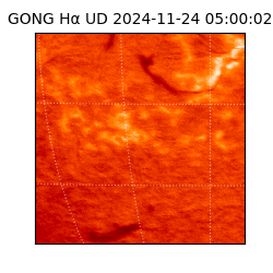 gong - 2024-11-24T05:00:02