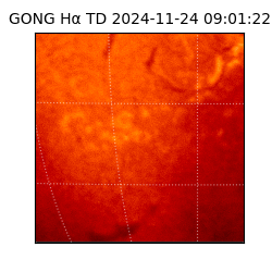 gong - 2024-11-24T09:01:22
