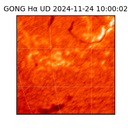 gong - 2024-11-24T10:00:02