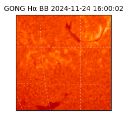 gong - 2024-11-24T16:00:02