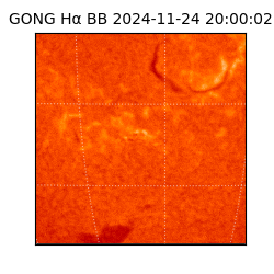 gong - 2024-11-24T20:00:02