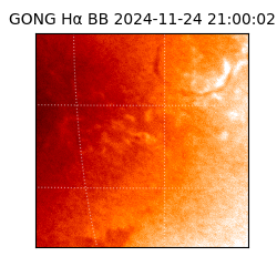 gong - 2024-11-24T21:00:02